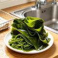 Fresh Green Kelp - image 1